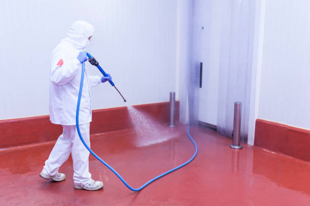 Best Playground Equipment Cleaning  in Sto Brook, NY