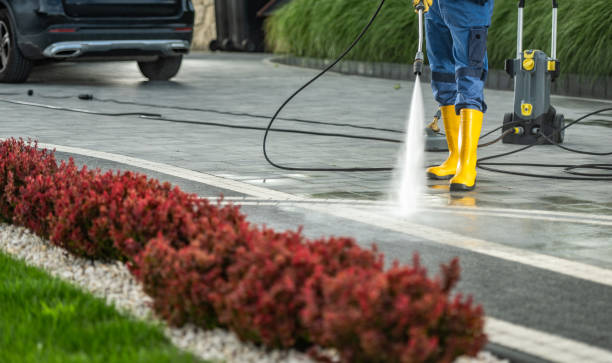 Best Driveway Pressure Washing  in Sto Brook, NY